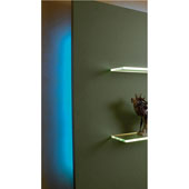  LOOX 12V #2042 Single Color Flexible LED Strip Light with 300 LEDs, Blue, 5m (196-7/8'') Length