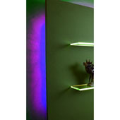  LOOX 12V #2042 Single Color Flexible LED Strip Light with 300 LEDs, Purple, 5m (196-7/8'') Length