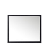  Glenbrooke 48'' W x 40'' H Wall Mounted Rectangle Mirror with Black Onyx Frame