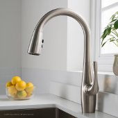  Esina™ Single Handle Pull Down Kitchen Faucet with Dual Function Sprayhead in all-Brite™ Spot Free Stainless Steel Finish