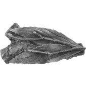  Woodland Collection 2-1/8'' Wide Leafy Twig Cabinet Knob in Antique Pewter, 2-1/8'' W x 1-1/8'' D x 1'' H