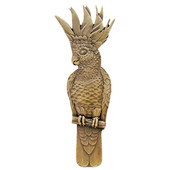 Tropical Collection 4-5/8'' Wide Cockatoo (Vertical - Right Side) Cabinet Pull in Antique Brass, 4-5/8'' W x 7/8'' D x 1-3/4'' H