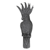  Tropical Collection 4-5/8'' Wide Cockatoo (Vertical - Right Side) Cabinet Pull in Antique Pewter, 4-5/8'' W x 7/8'' D x 1-3/4'' H