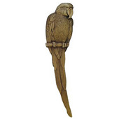  Tropical Collection 5-7/8'' Wide McCaw (Left Side) Cabinet Pull in Antique Brass, 5-7/8'' W x 7/8'' D x 1-1/2'' H
