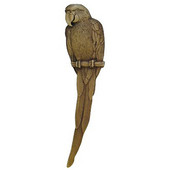  Tropical Collection 5-7/8'' Wide McCaw (Right Side) Cabinet Pull in Antique Brass, 5-7/8'' W x 7/8'' D x 1-1/2'' H