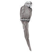  Tropical Collection 5-7/8'' Wide McCaw (Left Side) Cabinet Pull in Antique Pewter, 5-7/8'' W x 7/8'' D x 1-1/2'' H