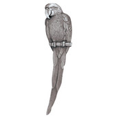  Tropical Collection 5-7/8'' Wide McCaw (Right Side) Cabinet Pull in Antique Pewter, 5-7/8'' W x 7/8'' D x 1-1/2'' H